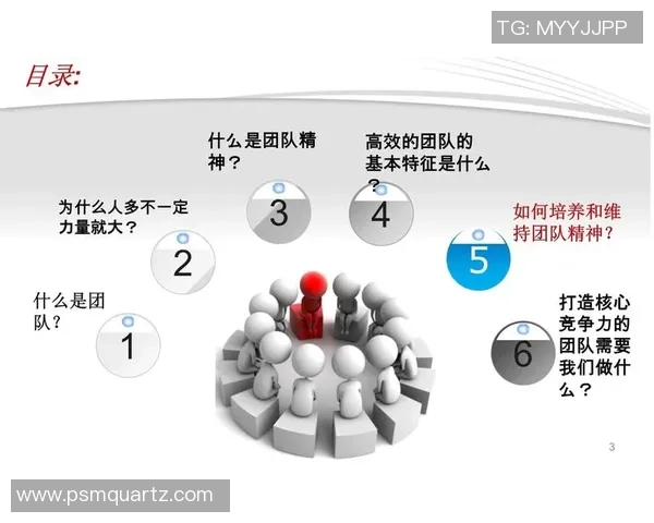 西安篮球队的灵活战术与团队协作探讨分析